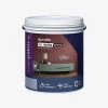 Asian Paints Apcolite All Protek Shyne Interior Wall Paint - Fire Retardant & Stain Proof Warranty