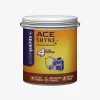 Asian Paints Ace Shyne Exterior Emulsion – Budget High Sheen Paint