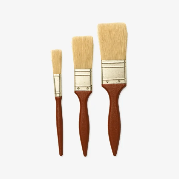 Asian Paints TruCare Brush Set