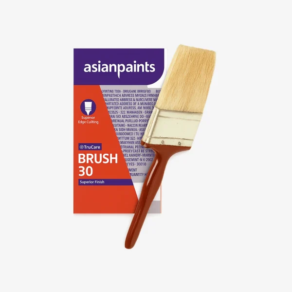 Asian Paints TruCare Brush 30