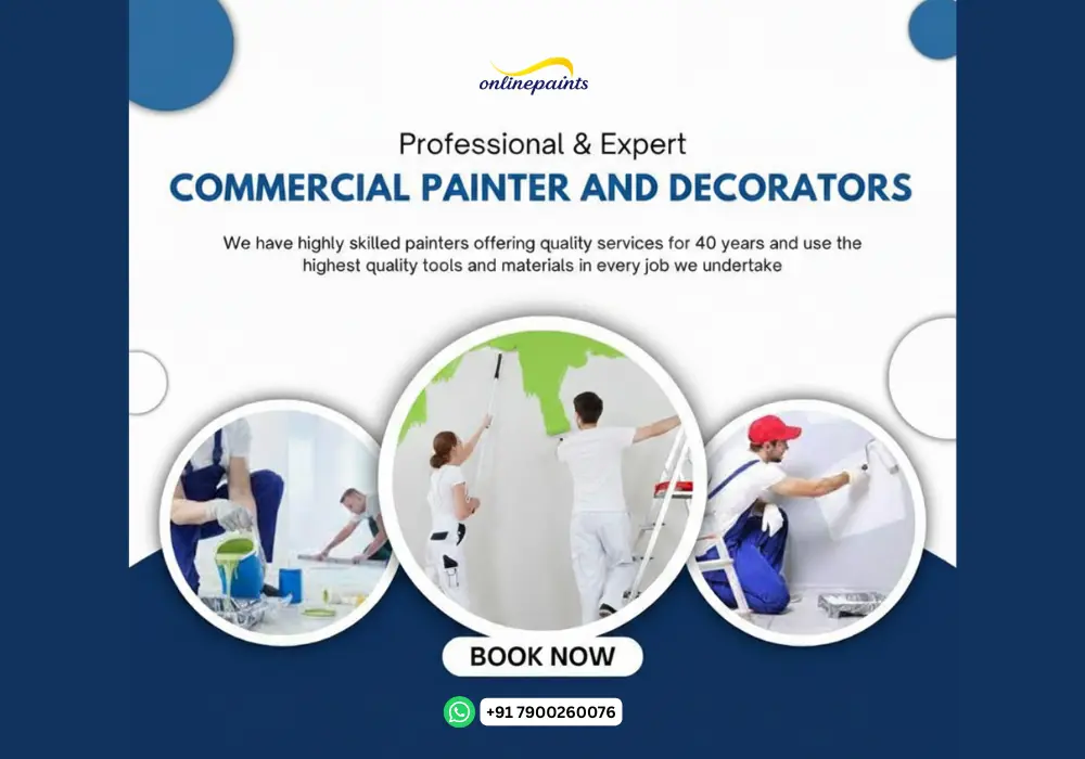 Best Wall Painting in Jodhpur | Professional Painters & Services