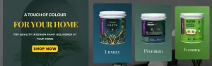 Buy Paint Online India , home paint online